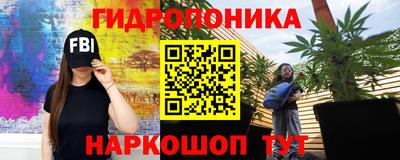 шишки Балаково