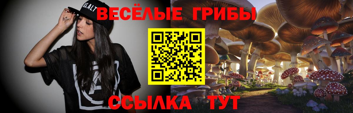 Елабуга  Псилоцибиновые грибы мухоморы  Галлюциногенные грибы прущие грибы  Вход с VPN 